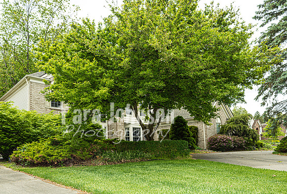 Homestead - 6739 Kingsmill (8MB max) - TJP (16 of 84)