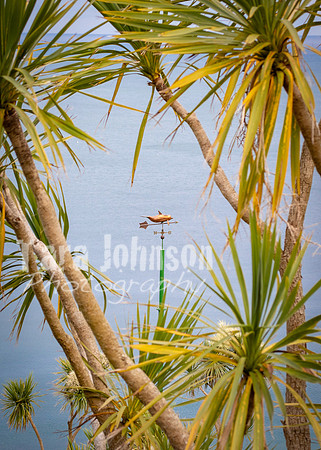 Killiney Hill Hike - Full Collection (21 of 77)