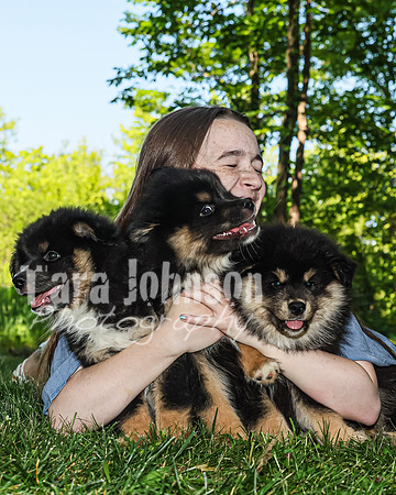 Bryde Family & Finish Lapphund Pups - TJP (39 of 60)