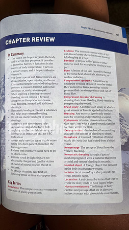 OEC - In Summary & Vocab (29 of 44)