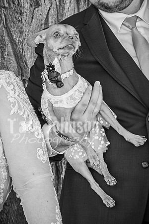 Mitch & Kelly - Complete - BW - TJP (21 of 731)
