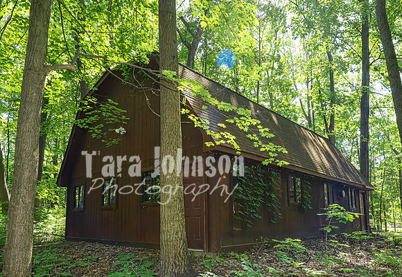 Homestead - 3415 W. Buno (8MB max)- TJP (9 of 60)