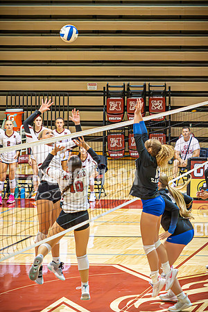 24 LHS Vball vs. MHS 9-19 - TJP (14 of 156)