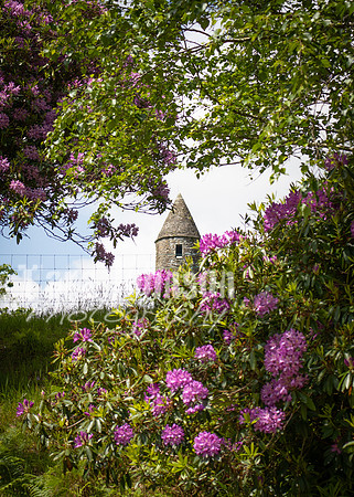 Glendalough Field Trip (29 of 117)