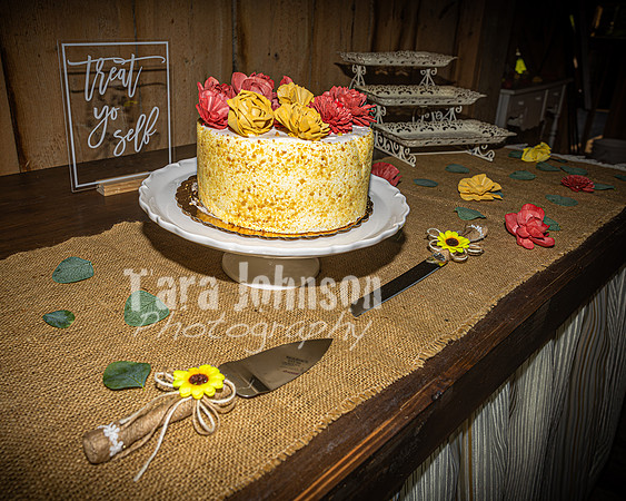 Dayton & Audrey Briggs - Venue - TJP (40 of 45)