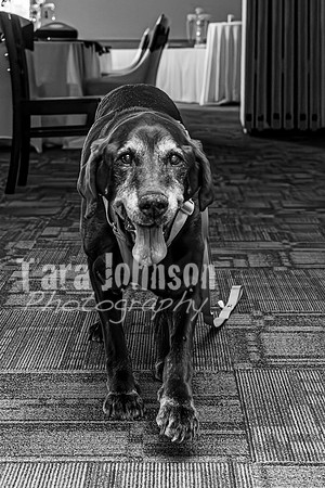 J. & D. Klann - Complete in BW - TJP (9 of 685)
