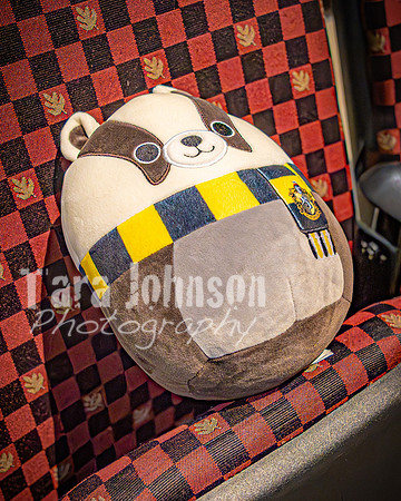 25 MTC - VIP - Candids - TJP (28 of 130)