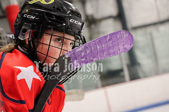 Hockey vs Cancer #2 EDITED (13 of 50)