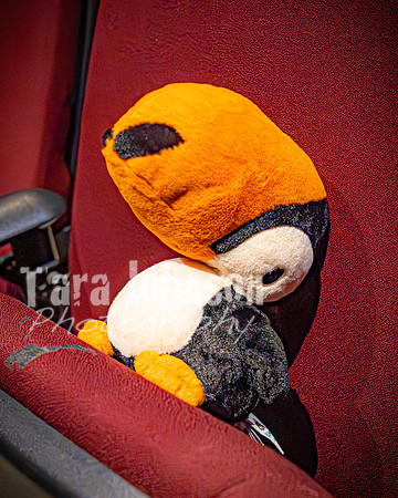 25 MTC - VIP - Candids - TJP (33 of 130)
