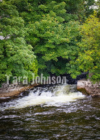 Galway Day Trip - Riverside Walk (34 of 57)