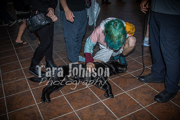 2024 HHS-AE Graduation - Candids - TJP (182 of 189)