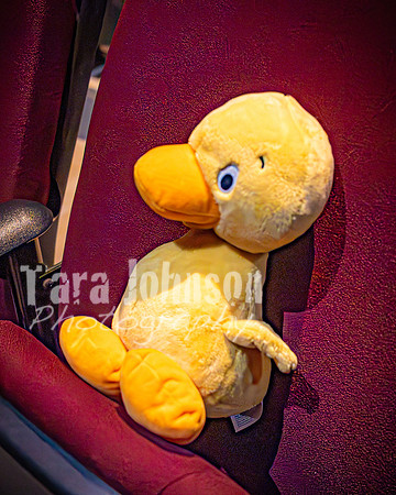 25 MTC - VIP - Candids - TJP (41 of 130)