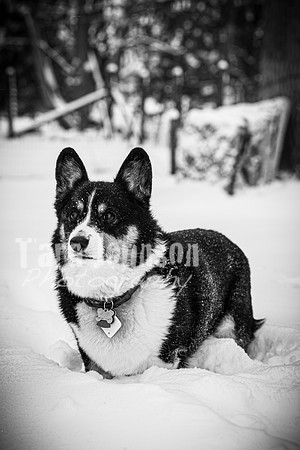 Scott & Tara - BW - TJP (11 of 20)