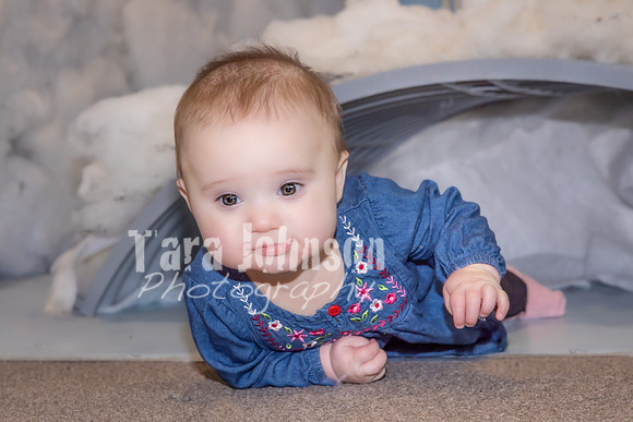 Abigail Briggs - Color - TJP (23 of 75)
