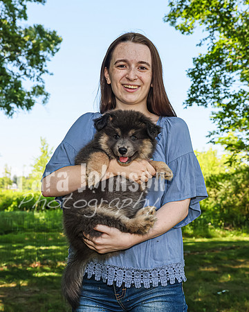 Bryde Family & Finish Lapphund Pups - TJP (56 of 60)