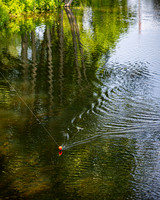 Ron Hall @ Depot Park - Color - TJP (11 of 54)
