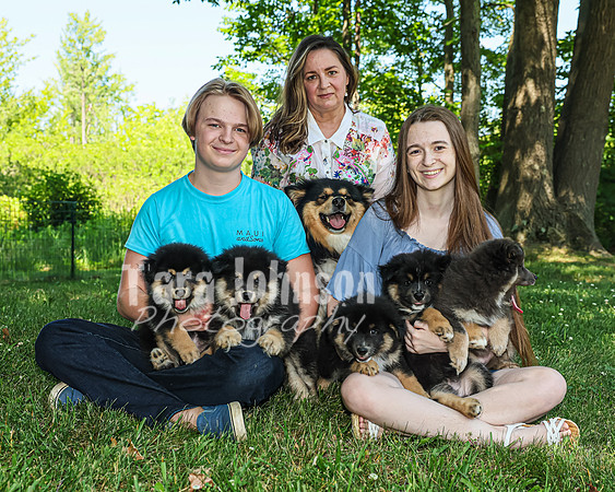 Bryde Family & Finish Lapphund Pups - TJP (32 of 60)