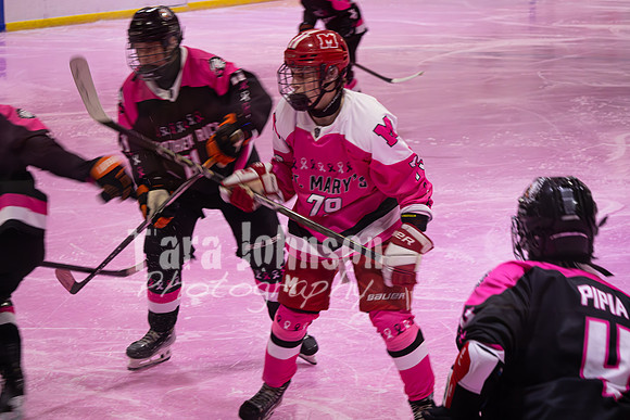2025 Pink in the Rink - EL (5 of 15)