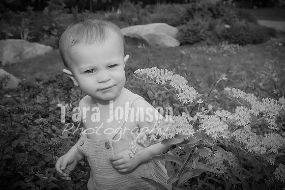 Itty Bittys - BW - TJP (24 of 64)