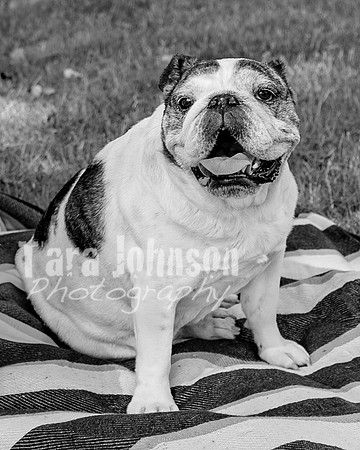 Anna Allen @ Central Park in Milford - BW - TJP (6 of 100)