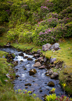 Benbulbin Mountain Trip (2 of 139)