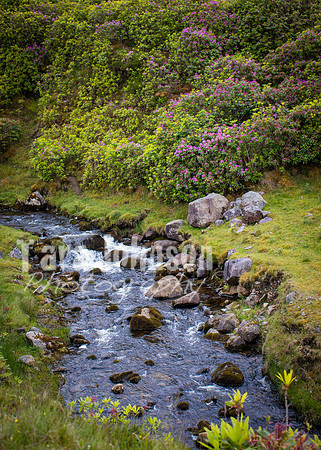 Benbulbin Mountain Trip (2 of 139)