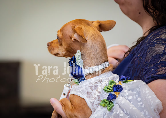 24 M. & K. Eaton Wedding [Ceremony] - DH (17 of 100)
