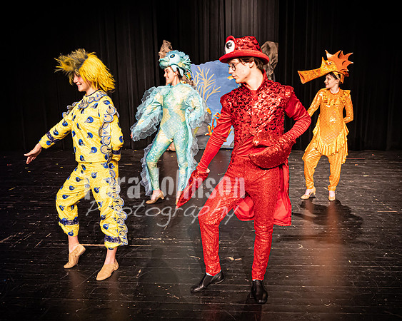 22 LHS Theatre - Mermaid Press Photo - TJP (1 of 4)