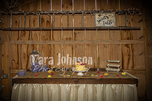 Dayton & Audrey Briggs - Venue - TJP (36 of 45)