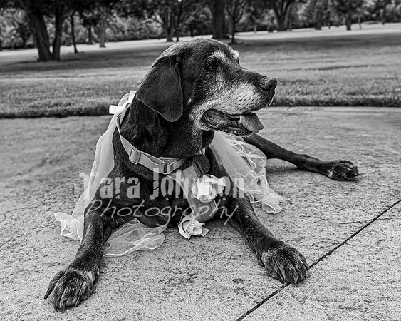 J. & D. Klann - Complete in BW - TJP (87 of 685)
