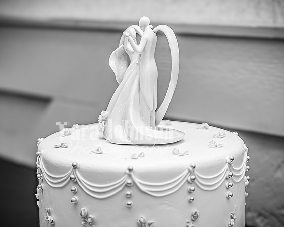 Ron & Michelle - Complete - BW - TJP (192 of 341)