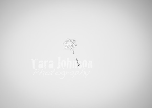 24 M. & K. Eaton Wedding [Full Collection B&W] - DH (200 of 352)