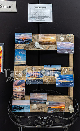 22 IAW Art Exhibition- Selections - TJP (16 of 63)