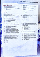 OEC - Test Questions (19 of 45)