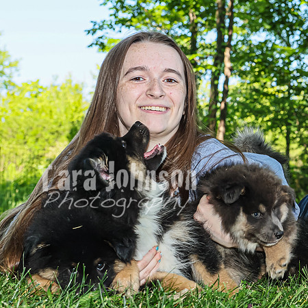 Bryde Family & Finish Lapphund Pups - TJP (41 of 60)