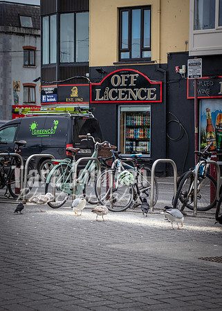 Galway Day Trip - Streets of Galway (45 of 51)