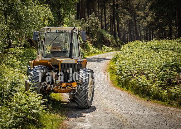 Glendalough Field Trip (105 of 117)