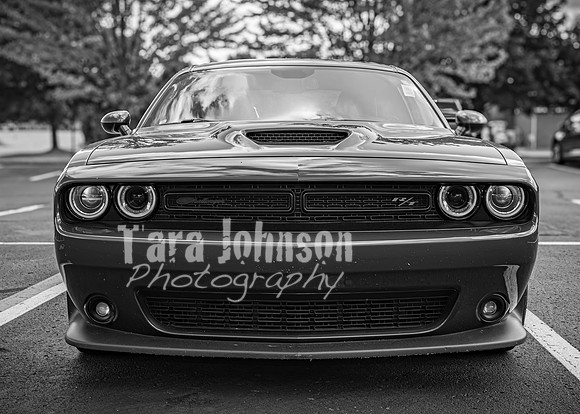 Ron & Michelle - Complete - BW - TJP (184 of 341)