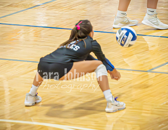 24 LHS Vball vs. S. Lyon 9-17 - TJP (146 of 151)