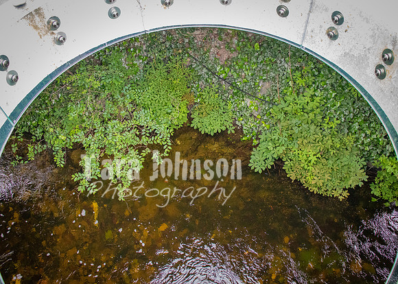 Galway Day Trip - Riverside Walk (8 of 57)