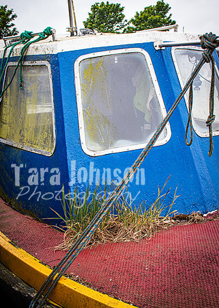 Galway Day Trip - Waterfront View (35 of 104)