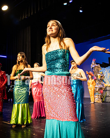 22 LHS Theatre - Mermaid R1 - Act 1 - TJP (89 of 363)