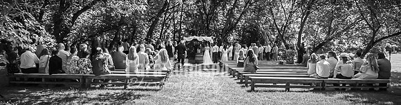 Tim & Corrissa - Complete - BW - TJP (149 of 585)