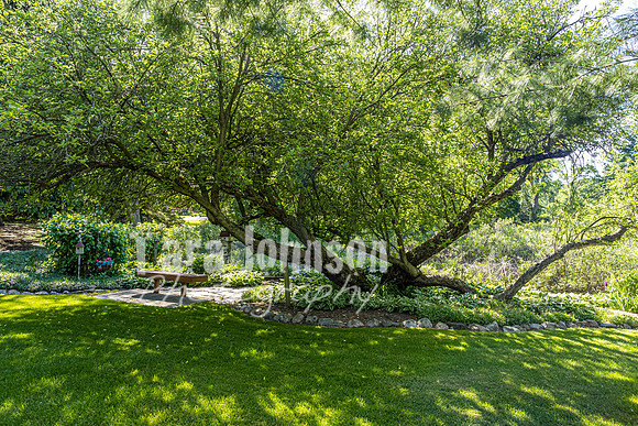 Homestead - 7011 Cedar Creek (8GB max) - TJP (35 of 109)