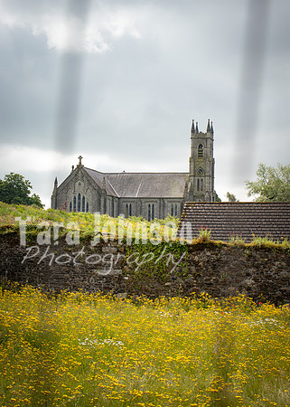 Glendalough Field Trip (10 of 117)
