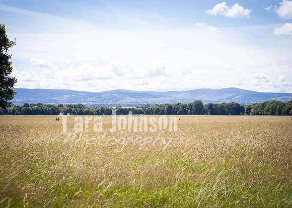 Phoenix Park Trip (37 of 40)