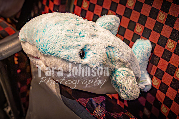 25 MTC - VIP - Candids - TJP (17 of 130)