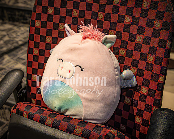 25 MTC - VIP - Candids - TJP (16 of 130)