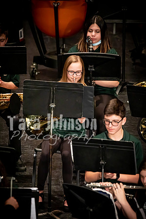 (print) 22 Winter OVMS - Band MM (Full Res, Various Sizes) (11 of 26)