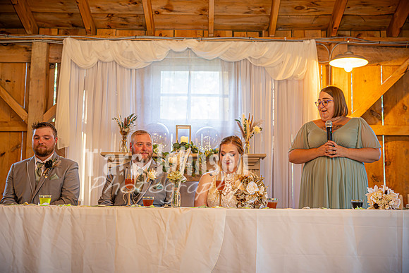 Michael & Ashlee McGrath - The Reception - TJP (24 of 53)